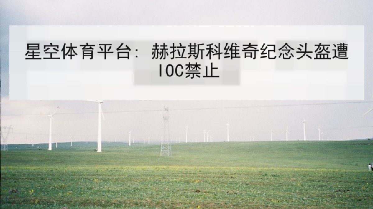 星空体育平台: 赫拉斯科维奇纪念头盔遭IOC禁止 星空体育平台: 赫拉斯科维奇纪念头盔遭IOC禁止